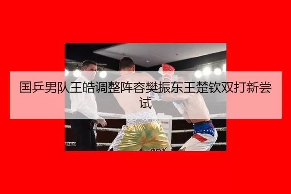 国乒男队王皓调整阵容樊振东王楚钦双打新尝试