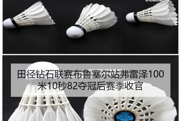 田径钻石联赛布鲁塞尔站弗雷泽100米10秒82夺冠后赛季收官